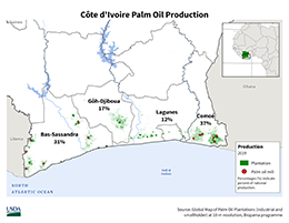 images\IV\cropprod\CoteDIvoire_Palm_preview.png